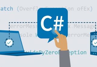 Professional C# Homework Help
