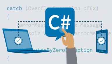 Professional C# Homework Help