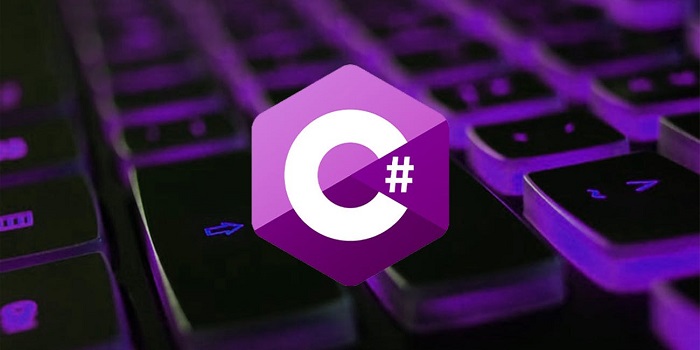 Professional C# Homework Help