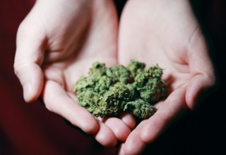 marijuana good for adult’s health