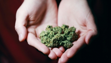 marijuana good for adult’s health